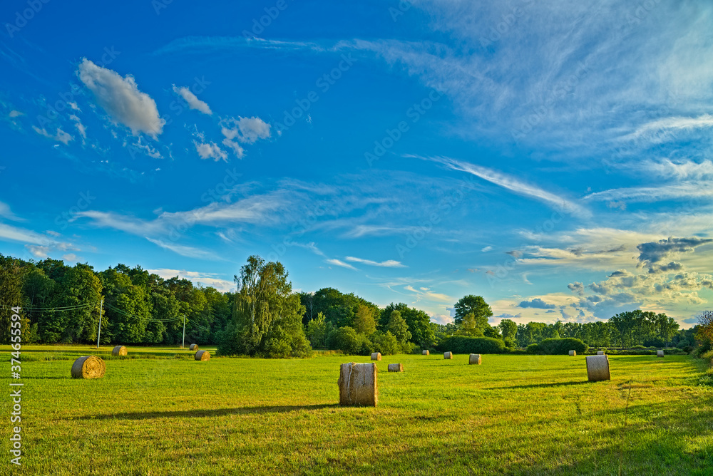 Obraz premium Landscape with Hay Bales
