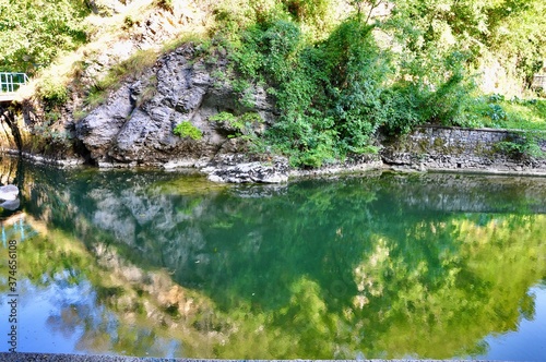 Trees reflected on the river water surface