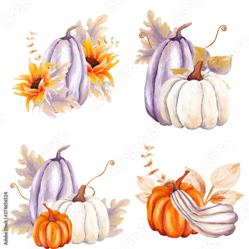 Watercolor hand painted pumpkin compositions, perfect to use on the web or in print