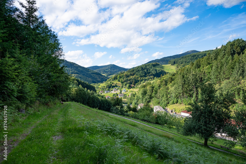 romantic view of a valley in the black forest while hiking on a trail