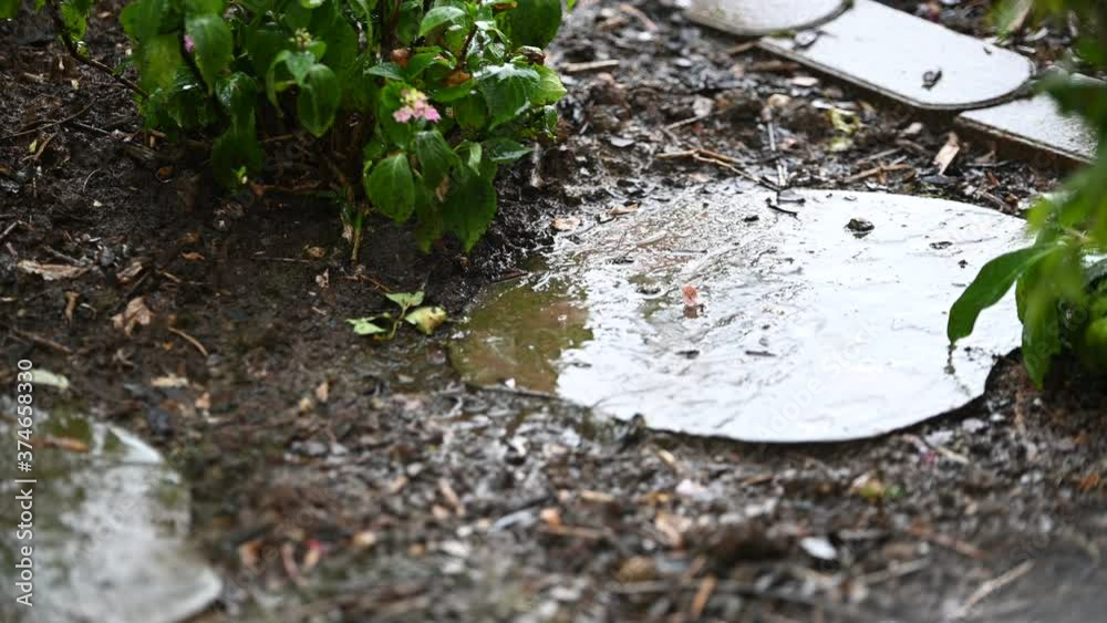 heftiger regen prasselt auf einen weg stein in einem garten