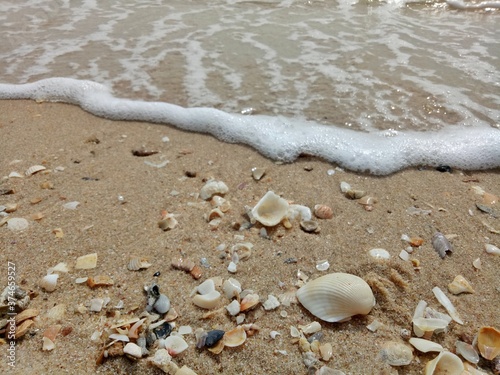 Close up seashell fragments and pebbles on the beach with the waves beat in summer time. Soft focus. Nature background concept.
