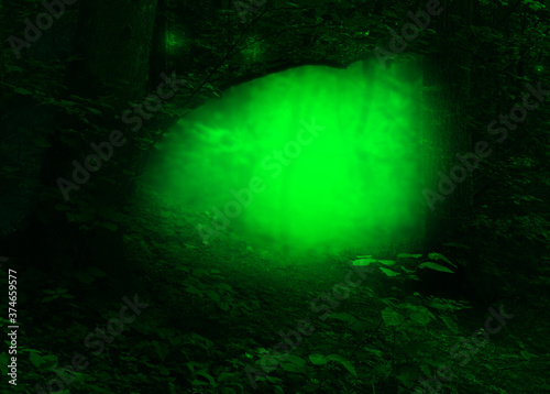 Magical green glow in dark fairy tale forest