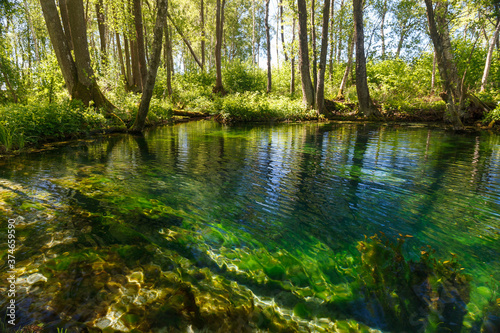 Fototapeta Naklejka Na Ścianę i Meble -  Emerald colored freshwater springs. Puhatu allikad (Sacred springs), Saaremaa, Estonia.