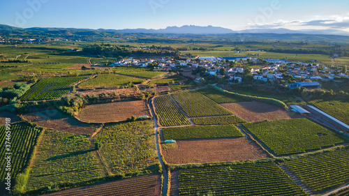 Fotografías Aéreas de Viñedos en el Penedes DO de Barcelona España