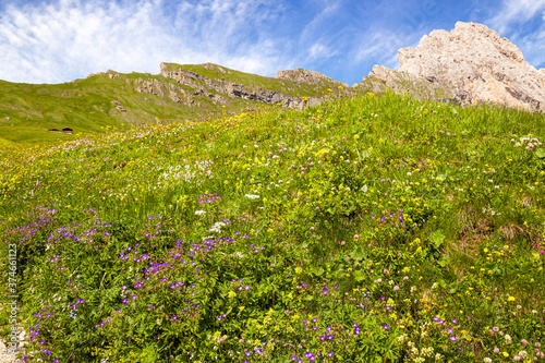 View of alpine meadow on Alp Seceda  in Dolomites UNESCO World Heritage in Val Gardena (Gröden), South Tyrol, Italy photo
