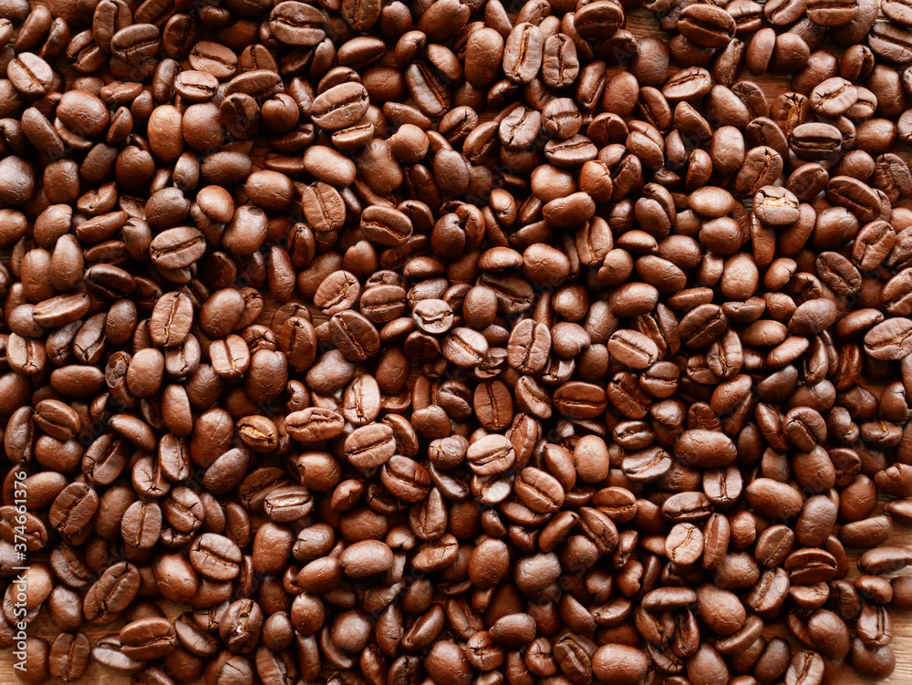 Fototapeta premium coffee bean for background, organic coffee seed