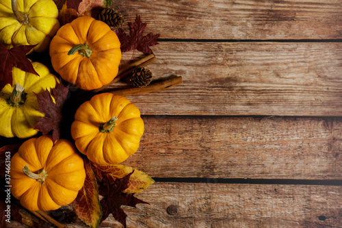 Autumn thanksgiving background with fancy pumpkins