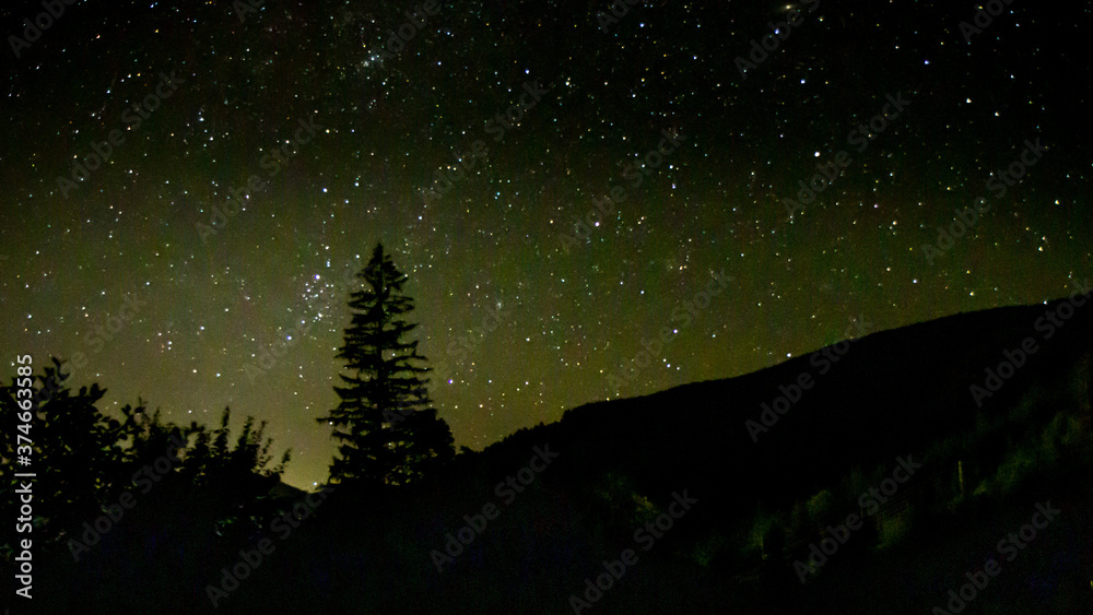 Silhouette of the tree in the night sky, Gosau, Austria