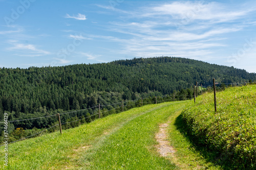 Beautiful view of idyllic alpine mountain scenery with meadows, trees and mountain peaks on a beautiful sunny day with blue sky in summer
