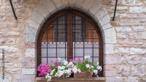 white and purple flowers outside the window 