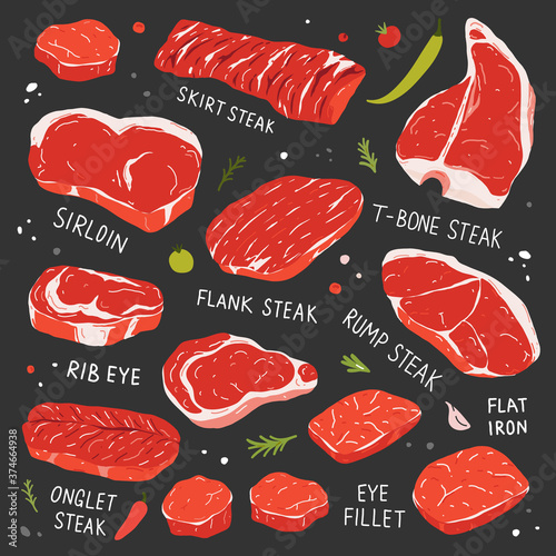 Steak collection, various types of beef steak, realistic illustration, t-bone, ribeye and tenderloin beef cuts, meat types for butcher shop or steakhouse, vector icon set isolated