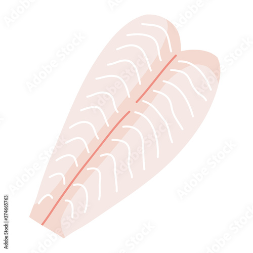 White fish fillet, fresh raw seafood, isolated vector illustration, cooking ingredient, cod fish