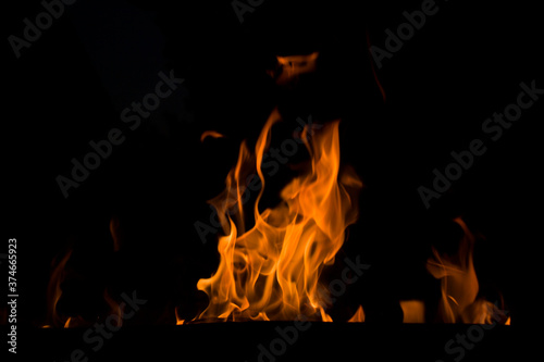 Beautiful burning tree at night