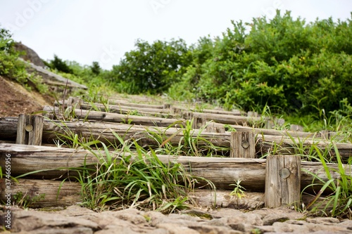 Fototapeta Naklejka Na Ścianę i Meble -  The wooden step to the hiking course in Miyagi.