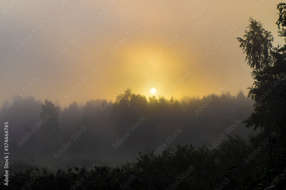 SONY DSCBeautiful morning sun sunrise over misty forest