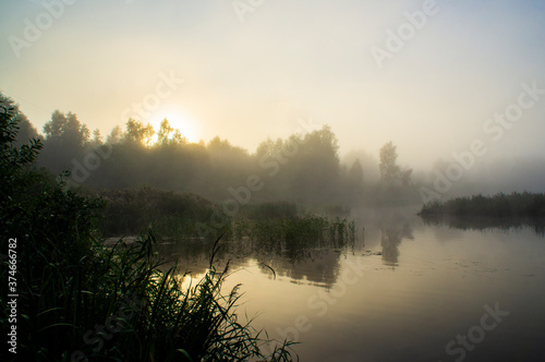 Beautiful morning sun dawn over forest misty lake