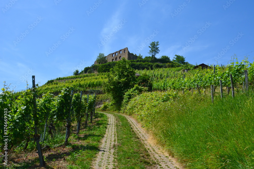 Staufener Burg