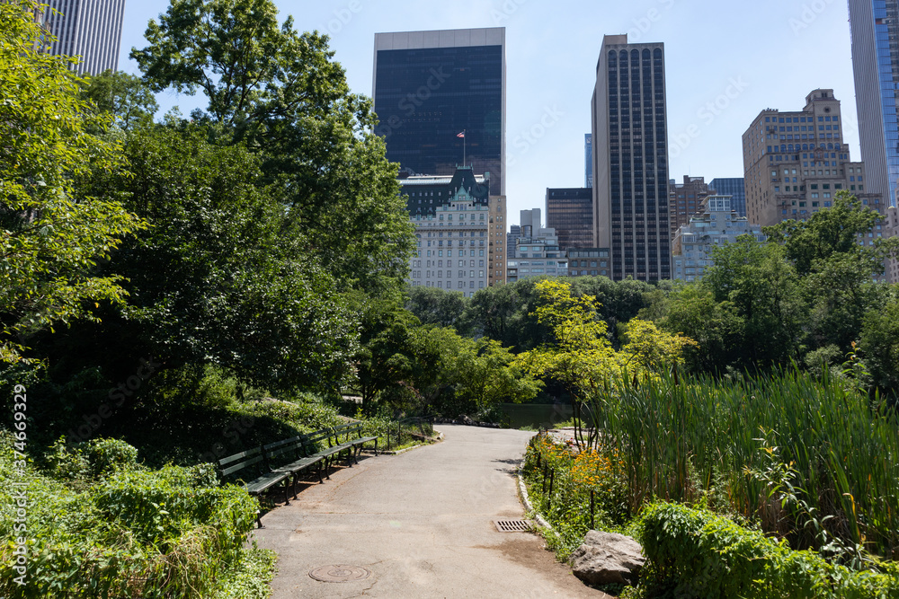Empty Path along the Pond at Central Park during Summer in New York City with a view of Skyscrapers