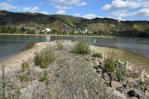 Rhein bei Namedy photo