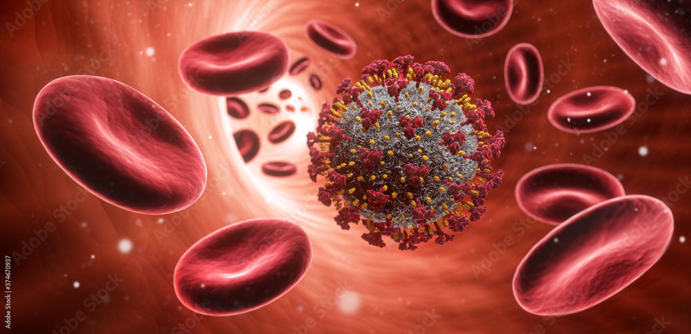 custom made wallpaper toronto digitalCorona Virus und rote Blutkörperchen im Inneren einer Arterie