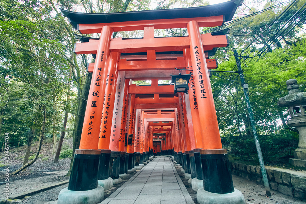 Fushimi Inari