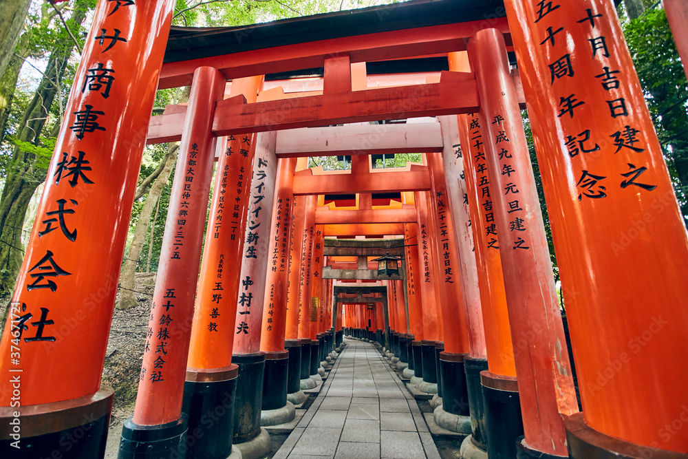 Fushimi Inari