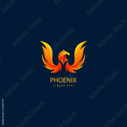 luxury phoenix logo concept. best phoenix bird logo design