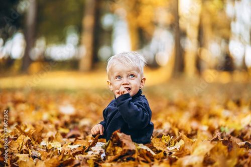 Little cute baby boy have fun outdoors in the park in autumn time.