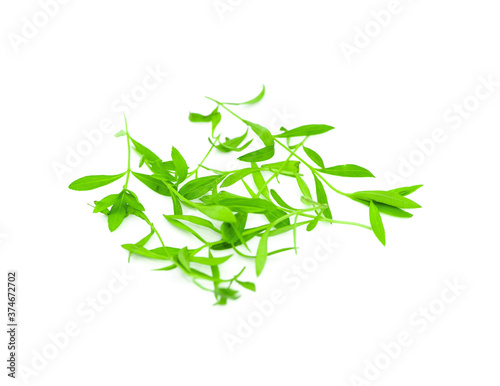 Watercress leaf isolated on white background