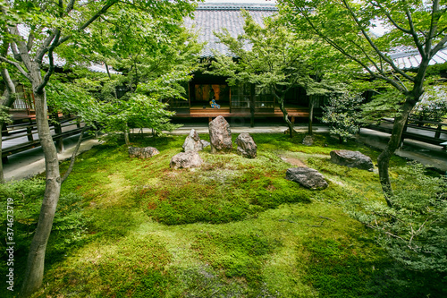 japanese garden in spring