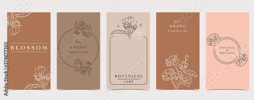 Cute background for social media.Set of instagram story with magnolia,jasmine,rose,flower