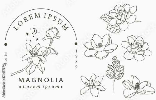 Canvas Print Beauty occult logo collection with geometric,magnolia,moon,star,flower