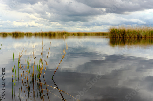 Landschaft am Neusiedler See bei Illmitz im Nationalpark Neusiedler See  Burgenland    sterreich