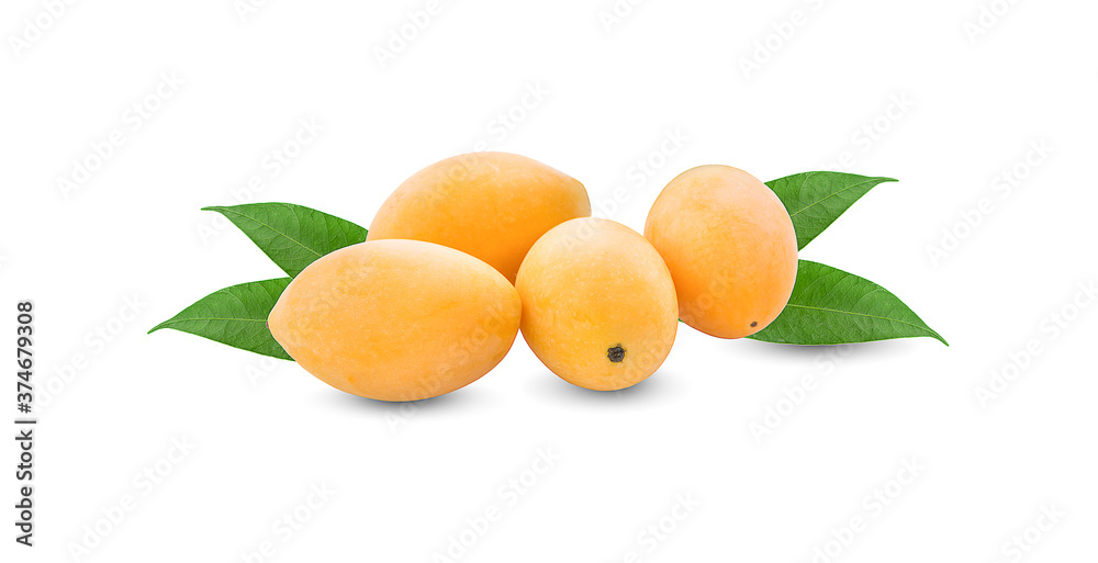 Marian plum fruit isolated on white background Marian plum fruit isolated on white background