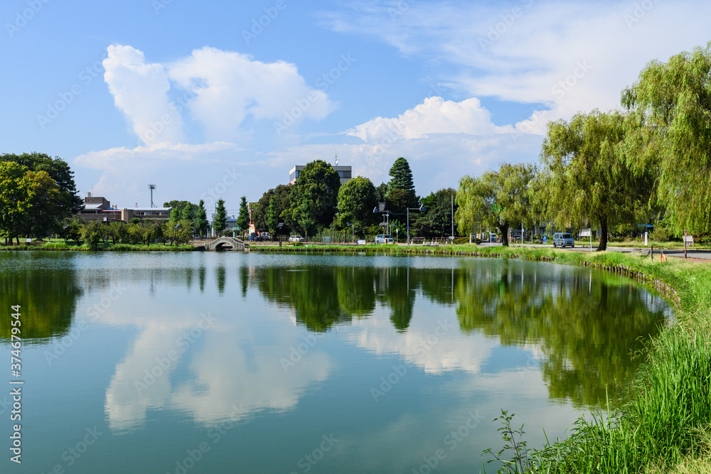 Obraz premium 夏空と池