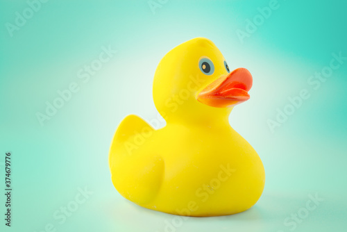 Yellow rubber duck on blue background