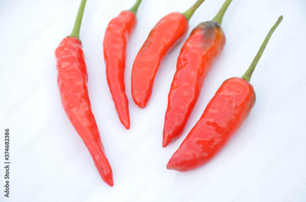 bunch the red ripe chilly isolated on white background. bunch the red ripe chilly isolated on white background.