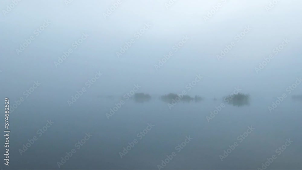 Time lapse video light fog over a forest lake Time lapse video light fog over a forest lake