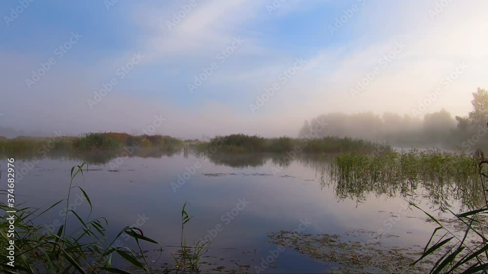 Morning sunrise on a forest lake with reeds Morning sunrise on a forest lake with reeds