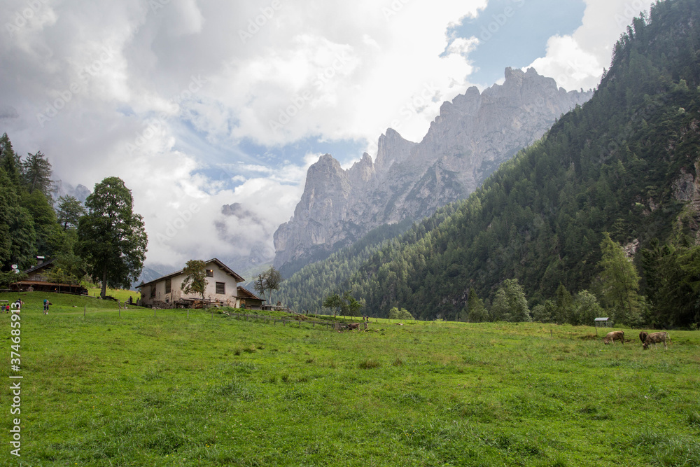 DOLOMITES LANDSCAPE... View from the walk from the forest path