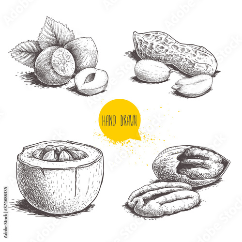 Hand drawn sketch style nuts set. Hazelnuts with leaves, peanuts, Brazilian nuts and pecan groups. Healthy food illustration. Vector drawings isolated on white background.