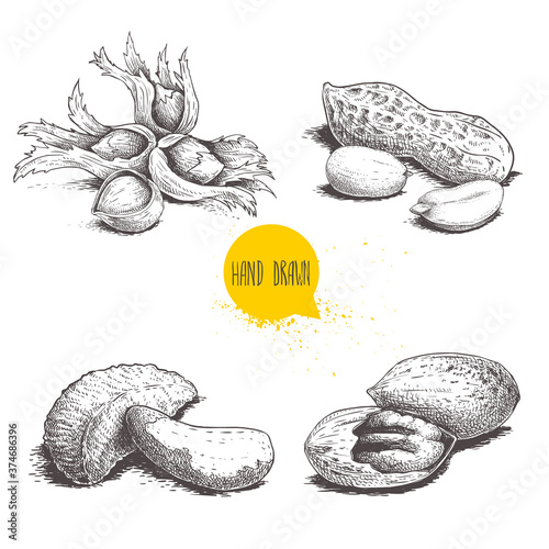 Hand drawn sketch style nuts set. Hazelnuts with leaves, peanuts, Brazilian nuts and pecan groups. Healthy food illustration. Vector drawings isolated on white background.