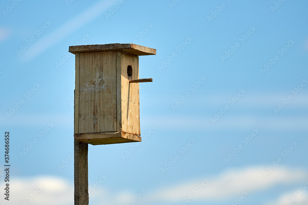 Starling flies out of the birdhouse with a worm in its beak. Feeding their little Chicks. Starling flies out of the birdhouse with a worm in its beak. Feeding their little Chicks.