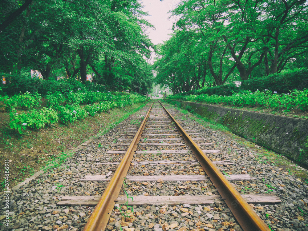 Fototapeta premium Old railway pass through forest to unknown destination