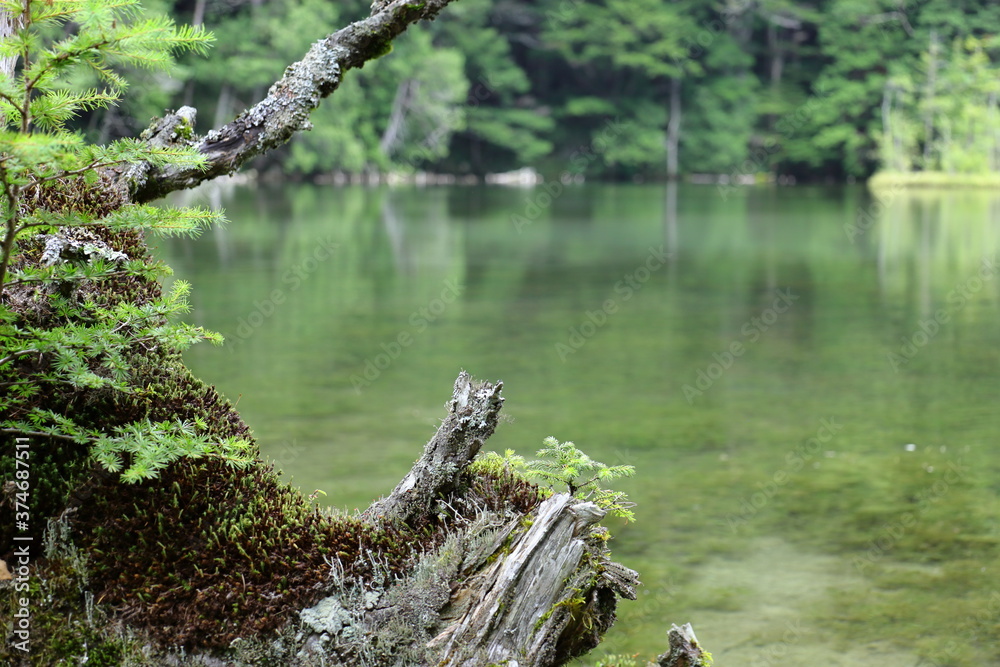 《長野県》明神池・美しい日本の池