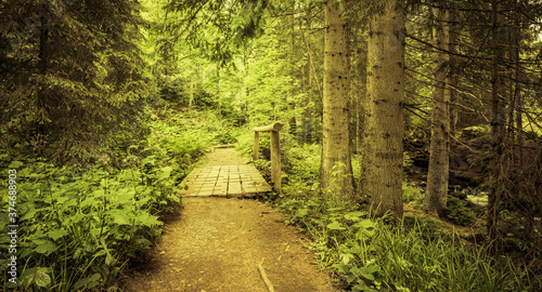 Wanderweg im Bayerischen Wald