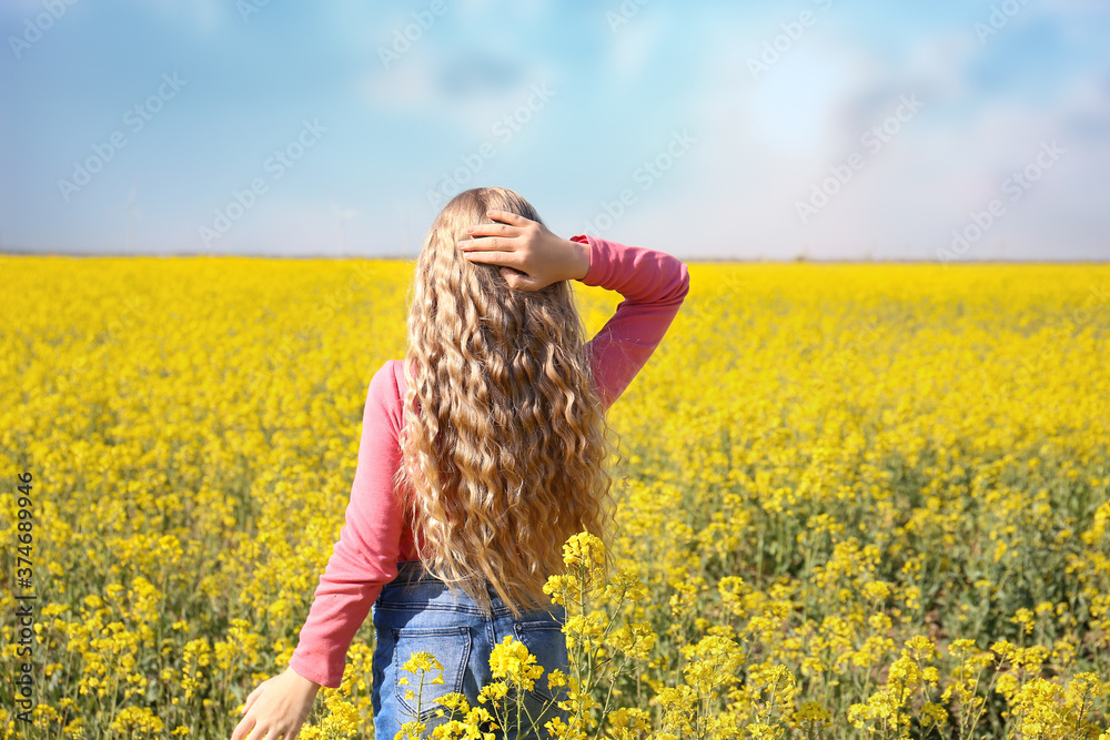 Fototapeta premium Girl with curly long hair on a background of field