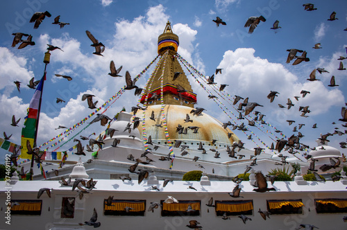 The Pigeon flying around Boudha Nath Stupa, Nepal photo