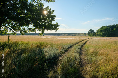 Sunrise and early morning mist over fields and distant woods